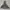 Camouflage Puffer Jacket by ORG photo 2
