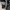 Trackpanst Adidas Firebird Black photo 3