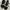 black and white flatshoes photo 1