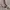 Casual vintage strip Beams heart  photo 3