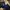 Ruff Ryders Carpenter Wideleg Pants photo 3