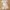 Set linen photo 3