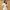 Set linen photo 2