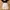 Set linen photo 6