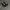 VANS ERA BLACK WHITE photo 1