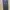 dickies 874 us  photo 5