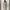 MAXMARA Motive Midi Dress photo 1