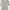 MAXMARA Motive Midi Dress photo 4