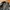 Hallym univerasity korea bahan fleece tebal mix kulit tebal photo 6