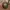 Kanken Mini Backpack Frost Green-Peach Pink