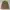 Napapijri Vintage Casual Puffer jacket Pria tan photo 2
