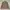 Napapijri Vintage Casual Puffer jacket Pria tan photo 1