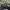 NEW ERA Minor League Baseball (MiLB) photo 8