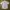 Colombia Casual Pocket Shirt photo 1