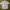 Colombia Casual Pocket Shirt
