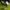 Adidas long sleeve three stripes camo  photo 3