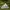 Adidas long sleeve three stripes camo  photo 4