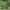 Adidas long sleeve three stripes camo  photo 2