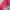 Andersson Bell Luxury Futurist Sweater Wanita red pink photo 4