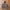 Uniqlo camo jacket windbreaker pocketable photo 1