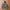 Uniqlo Camo Jacket Windbreaker Pocketable