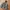 Uniqlo camo jacket windbreaker pocketable photo 2