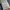 Casual Sportswear Track jacket Pria cream photo 6