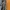 Champion trackpants parachute tebal inner mesh photo 4