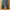Champion trackpants parachute tebal inner mesh photo 2