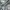 Nike x FOG NRG Tear Away – Grey  photo 3