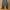 Champion trackpants parachute tebal inner mesh photo 2