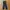 Champion trackpants parachute tebal inner mesh photo 1