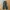 Champion trackpants parachute tebal inner mesh photo 6