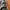 Champion trackpants parachute tebal inner mesh photo 4