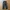 Champion trackpants parachute tebal inner mesh photo 1