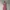 Love Bonito Dress photo 1