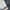 Vivastudio Casual Jeans Pria navy blue photo 5