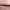 Kacamata Guess photo 6