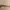 Kacamata Vintage Oakley Half Wire photo 5