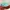 Vans slip on tosca photo 1