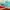 Vans slip on tosca photo 4