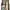 Zara Earth Tone Maxi Button Up Dress – ukuran XL photo 1