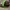 Sportswear Hat Pria multicolor green black photo 2