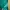 Long Outer Kardigan  Wanita Green Shimer photo 6