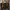 Louis Vuitton Luxury Handbag Wanita brown photo 3