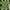 green top photo 1