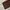 levi's brown jeans long pants photo 7