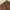 levi's brown jeans long pants photo 5