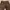 levi's brown jeans long pants photo 10