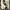 TIMBERLAND Icon Size 45 Made in USA photo 4